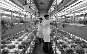 經濟日報多媒體數字報刊