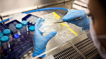 健康產業新機遇 生物基材料技術的創新與突破